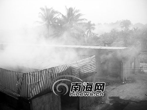 琼海槟榔加工点污染严重 居民咳嗽声连连不断
