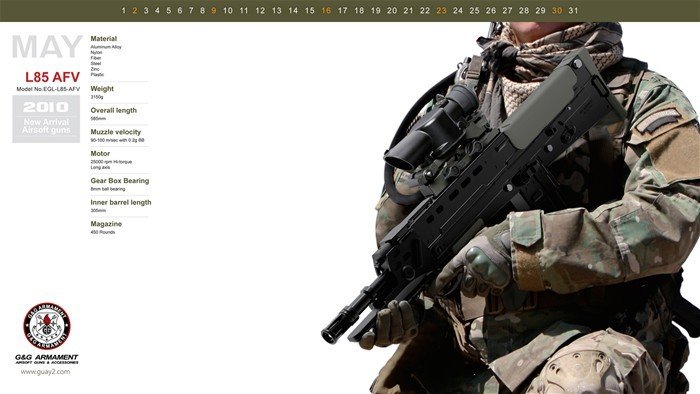 高清组图:2010年g&g armament枪械精美挂历