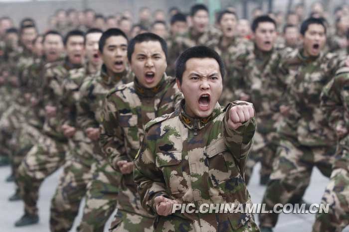 高清组图:四川遂宁武警新兵拓展团队协作