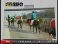 视频：实拍农民工结队骑马回家过年 场面壮观