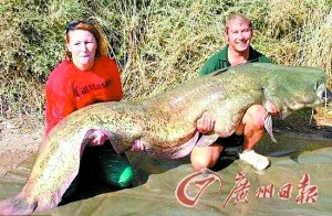 英国盲女钓到200斤重世界最大鲶鱼(图) - 奇闻异事 ...