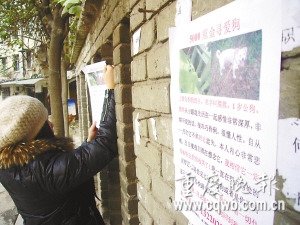 女大学生为进小区寻宠物狗给保安下跪(组图)