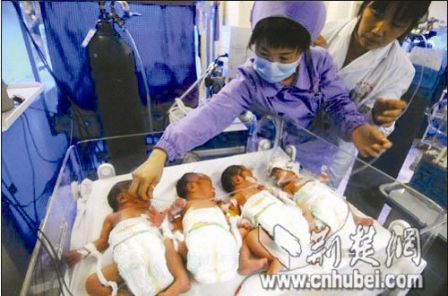 农户喜诞四胞胎 每天数千元医疗费难承担(图)