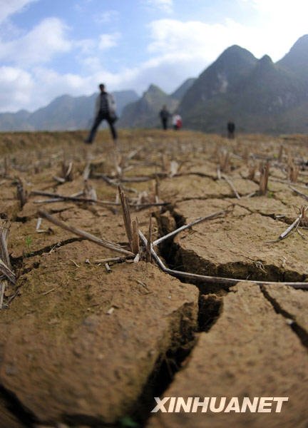 广西河池遭遇50年一遇干旱 60万人饮水困难