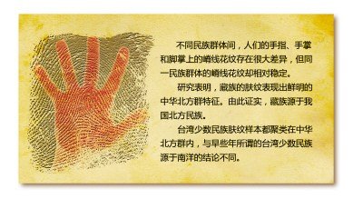 我国完成全民族肤纹调查 发现各民族共同特征