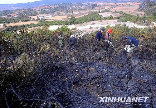 云南石林人口_云南石林地质公园