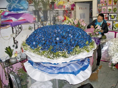 商人豪掷2.9万元 999朵蓝色妖姬赠女友_新闻_腾讯网