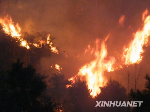 湖南湘乡发生森林大火（组图）