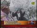 视频：广东南瓮顶山植被结冰形成冰凌景色