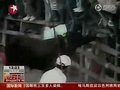 视频：哥伦比亚斗牛酿惨剧 疯狂公牛顶翻三游客