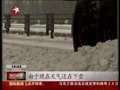 视频：黑龙江高速公路全力应对暴雪袭击