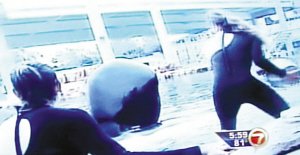 美国海洋公园虎鲸表演时咬住训练师致其溺死
