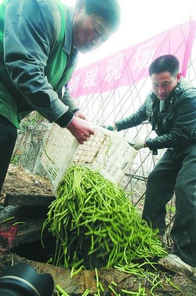 ·毒豇豆NO本地产蔬菜OK