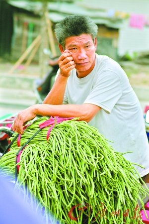 海南蔬果受毒豇豆牵连集体遭遇信任危机