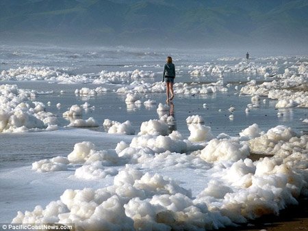智利地震海啸致加州海岸变“泡泡浴场” (图)