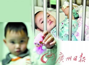 3岁男孩捐骨髓救4岁地贫姐姐(组图)