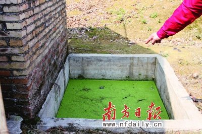 3岁幼童化粪池夭折 律师：如属意外果园有责