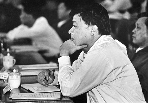 质询,人民监督之路