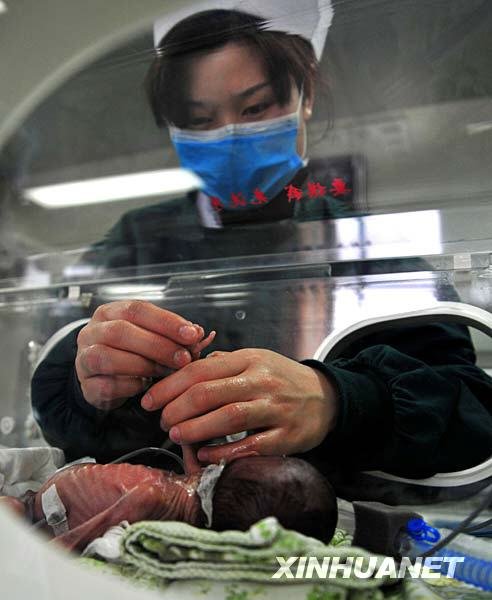 3月12日,湖北民族学院附属医院的护士在护理保育箱里的“袖珍宝宝”。新华社发(杨顺丕 摄)