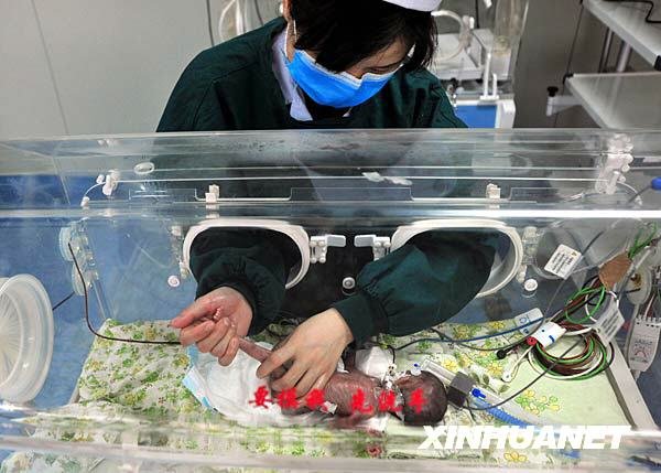 3月12日,湖北民族学院附属医院的护士在护理保育箱里的“袖珍宝宝”。