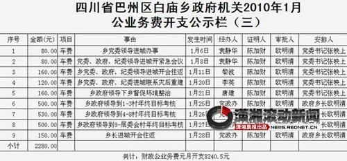 网友曝乡政府财政公开全裸 1.5元信纸都公示