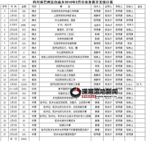 网友曝乡政府财政公开全裸 1.5元信纸都公示