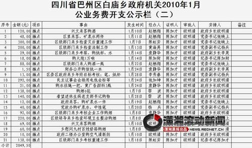 网友曝乡政府财政公开全裸 1.5元信纸都公示