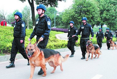 20条警犬上岗巡逻