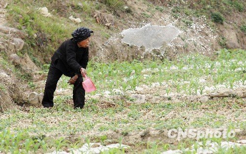 中国西南地区干旱将持续 局地旱情百年一遇