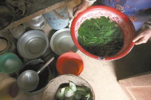 16日，晋宁六街镇青菜村委会，魏粉仙家中已经开始吃野菜。