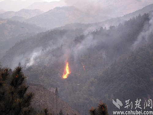 湖北咸宁一镇政府组织炼山造林引发连绵山火