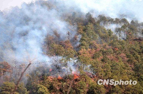 组图：丽江市玉龙县发生山林火灾