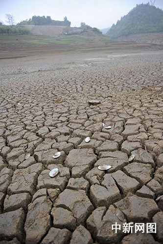 贵州旱区见闻：饮用水源库底水族成“化石”