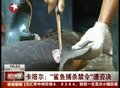 视频：“鲨鱼捕杀禁令”遭日本等国否决
