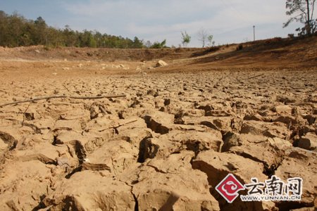 云南旱情持续加重 16个州市2405万人受灾