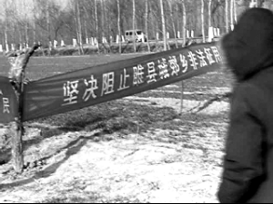 村民用村长茶杯被拘幕后：当地存大量非法征地