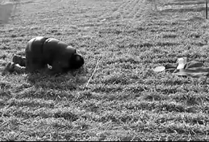 村民用村长茶杯被拘幕后：当地存大量非法征地