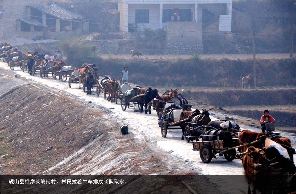 缇庡コ鎬掓娊鐚ョ悙鐢图片