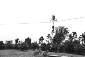 3岁女童徒手走钢丝 脚下6只饿虎“伺候”(图)