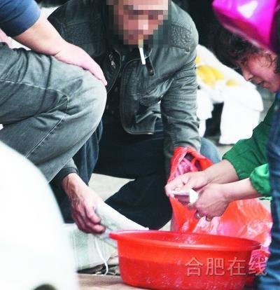 ·小药包催熟海南青芒果