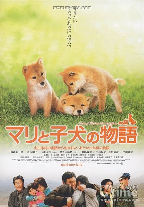 全球10大环保电影推荐