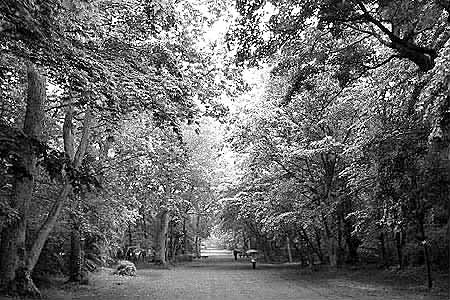 �ձ��������⽨ǧ��������׼�й�����