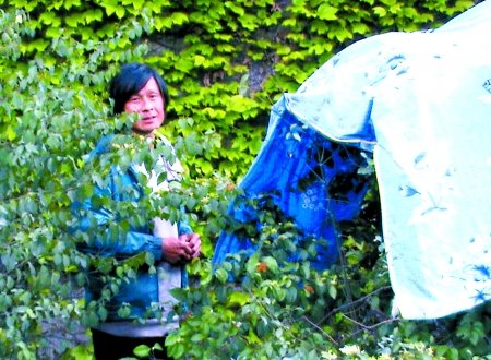男子看见飙车就兴奋 高速路边搭帐篷安家(图)