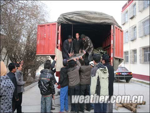 青海省气象局对玉树灾区开展针对性救灾服务