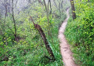 男子劫持两姐妹强奸后割喉致1死1伤