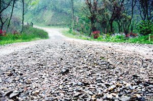 男子劫持两姐妹强奸后割喉致1死1伤