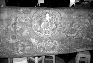 ǿƿ86.5cm,251cm