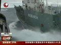 视频：日本捕鲸船因频遭环保组织围堵已暂停