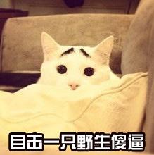 可惜,这世上没有后悔药!