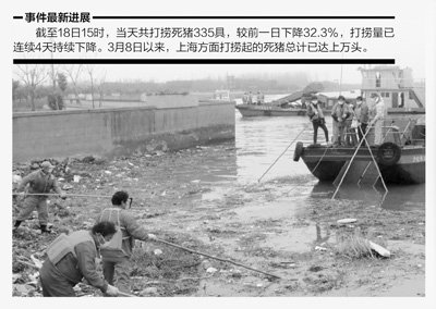 专家称浙江以往有人收购病死猪加工后上市